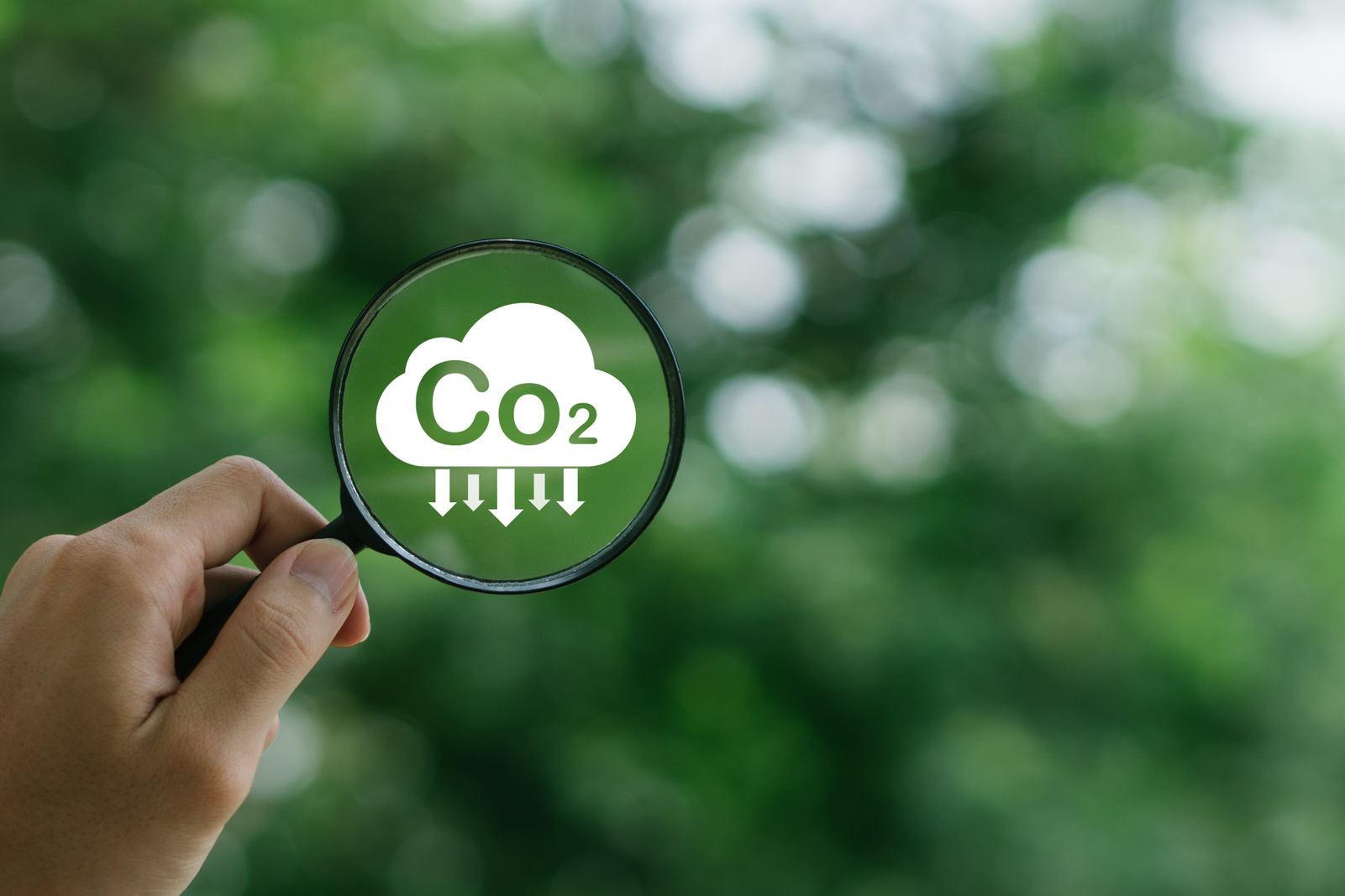 ISO 14064-1:2018 Karbon Ayak İzi Sertifikası
